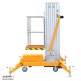 Подъемник мачтовый несамоходный GTWY 4-100 (T) (AC&DC; 125 кг; 4 м) СМАРТЛИФТ (SMARTLIFT) – изображение №1
